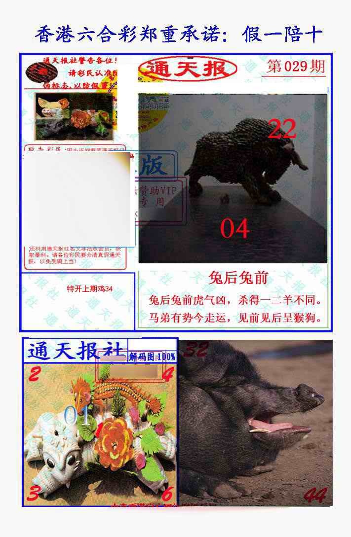 029期假一陪十通天报[图]
