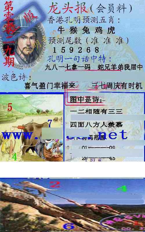 029期龙头报[图]