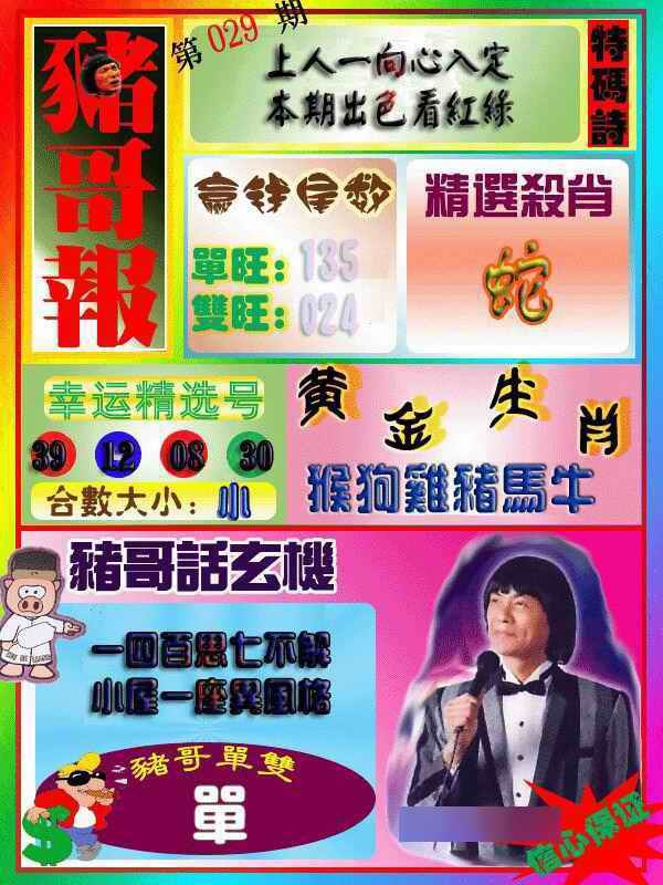 029期猪哥报[图]