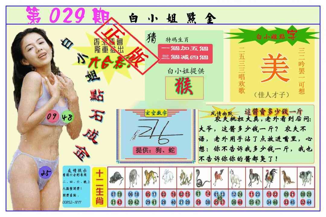 029期白小姐点金[图]