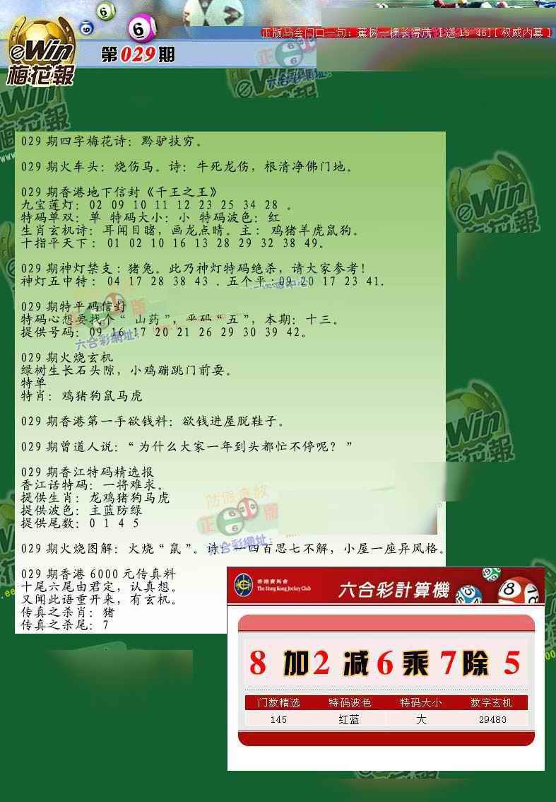 029期梅花报[图]