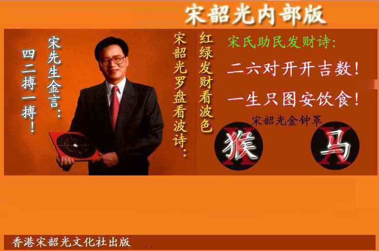 029期宋韶光内部版(另版)[图]