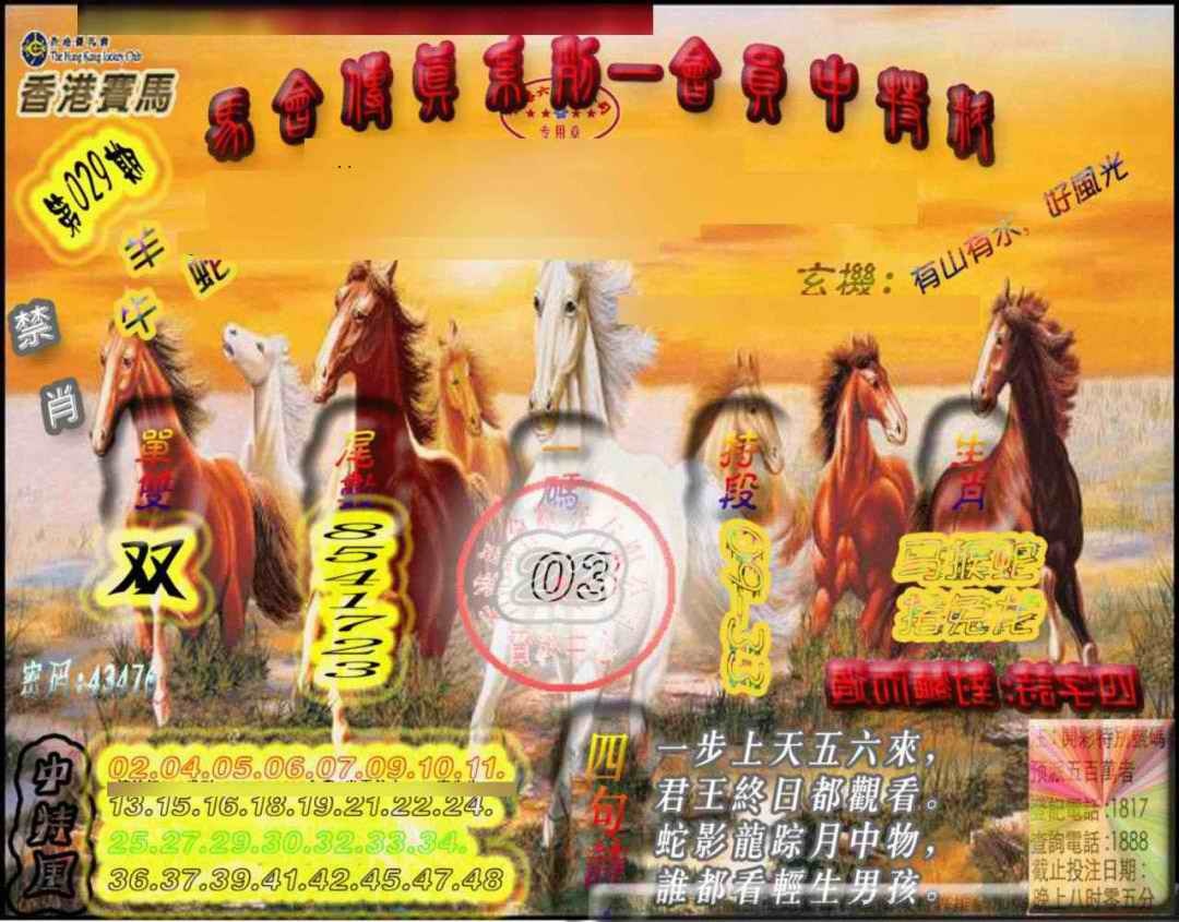 029期马会传真-会员报[图]