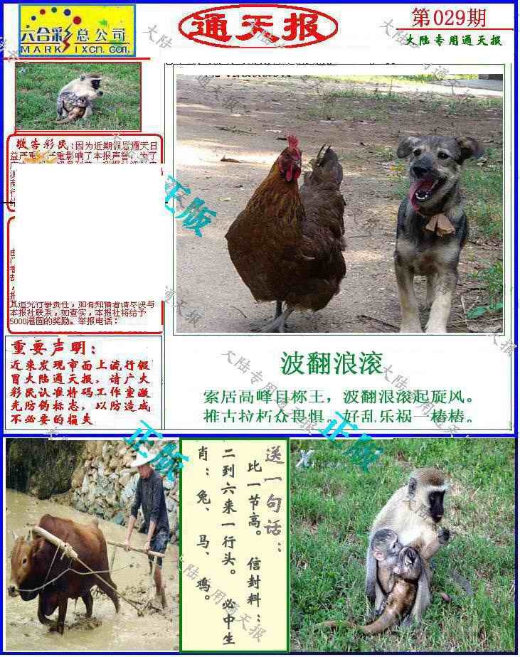 029期大陆通天报[图]