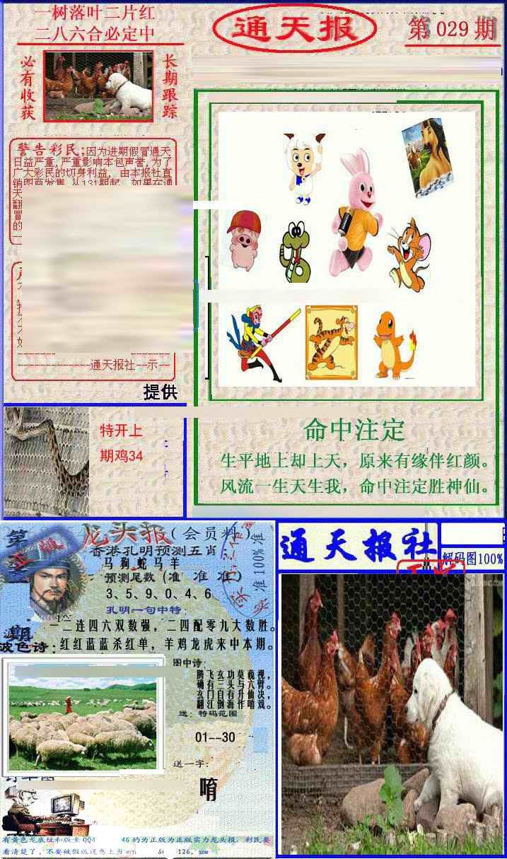 029期实力通天报[图]