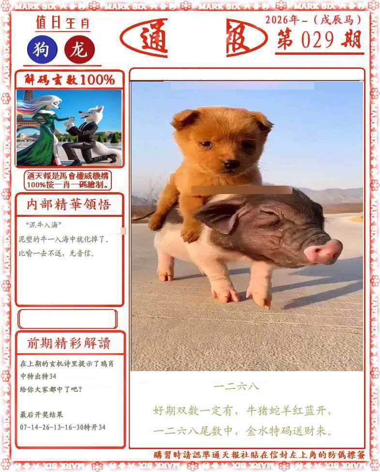 029期正版通天报(会员版)[图]