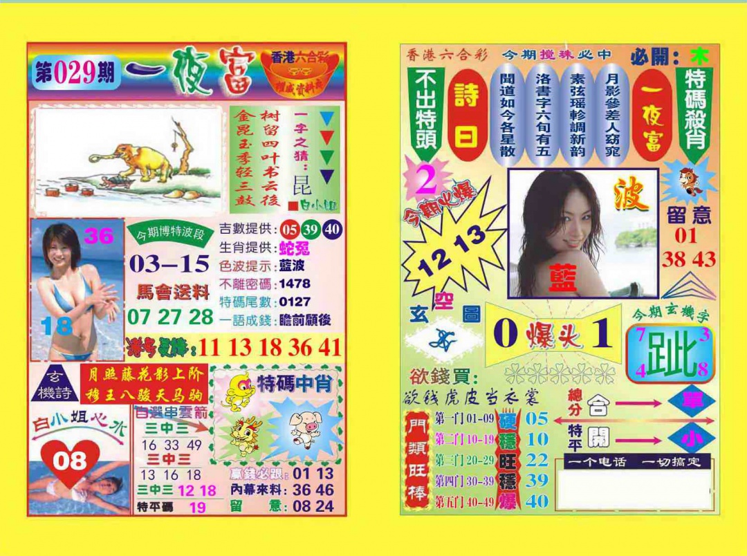 029期一夜富[图]