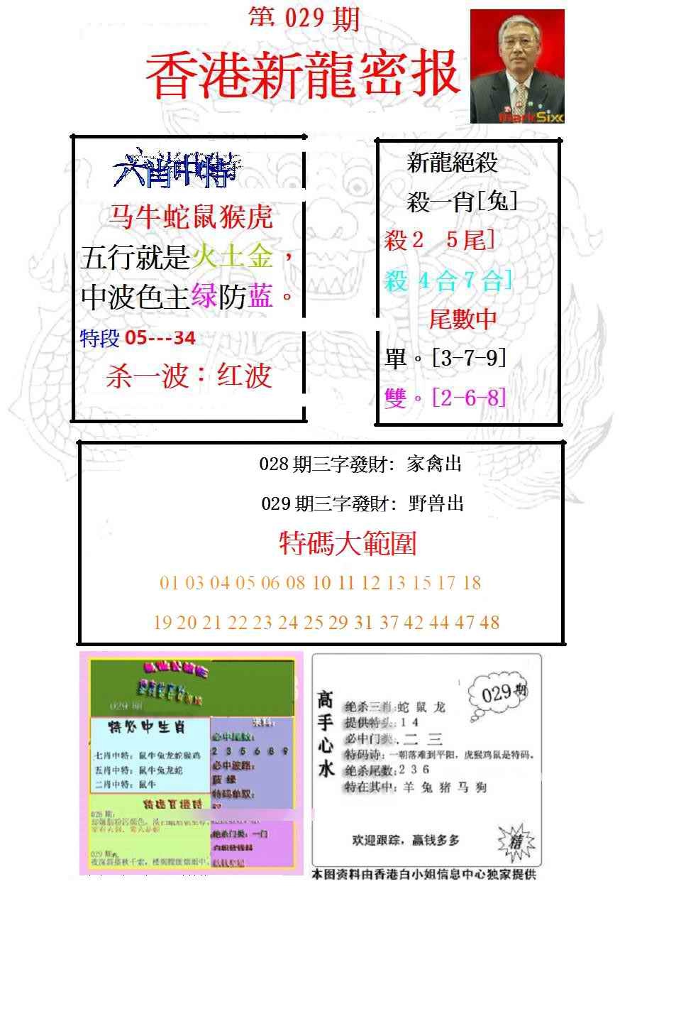 029期新龙密报[图]