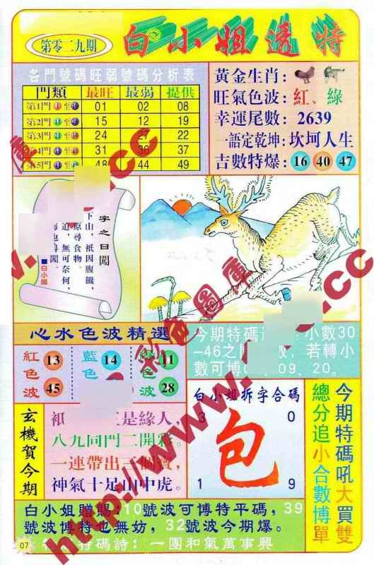 029期白小姐透特[图]