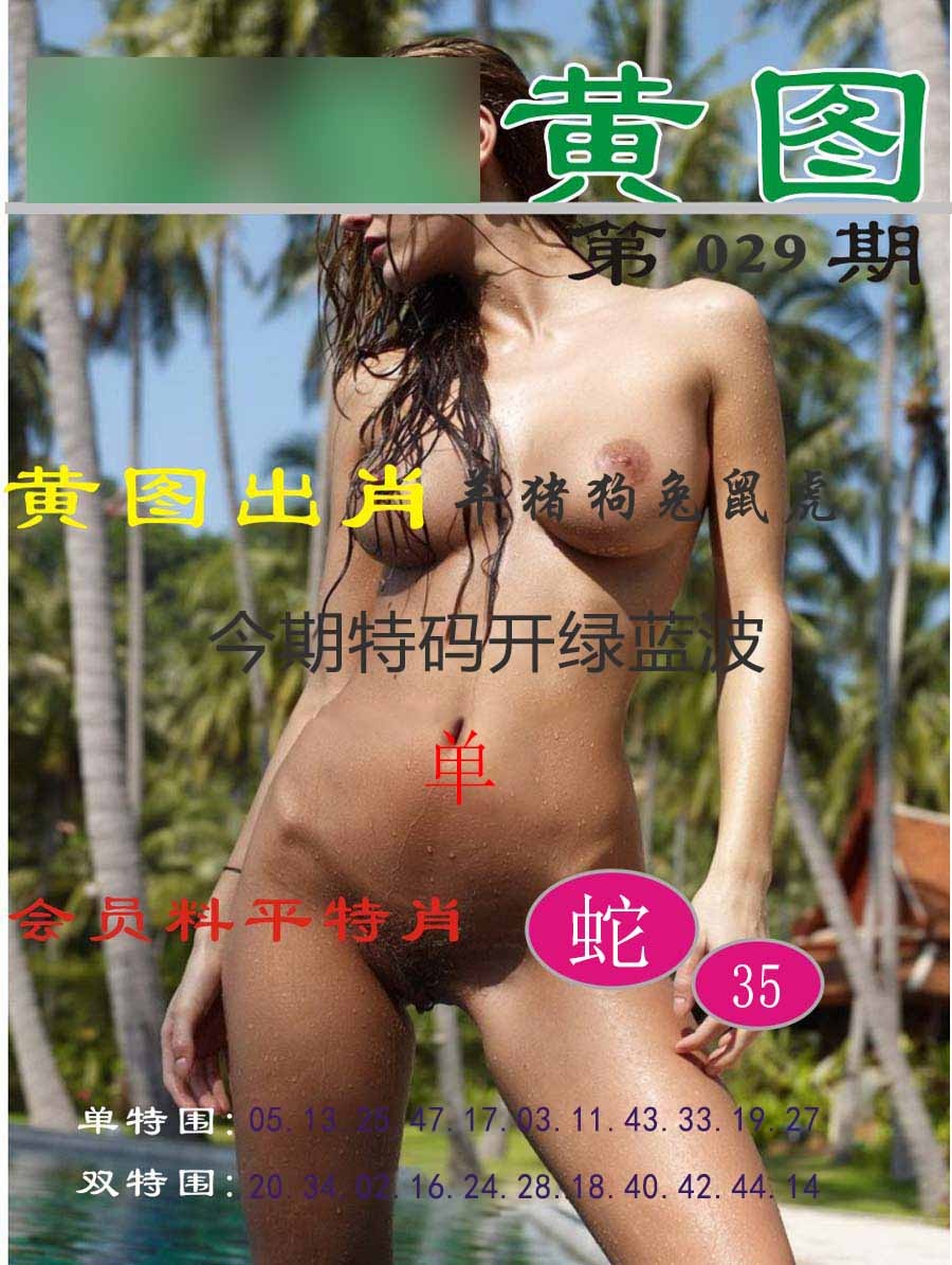 029期黄图[图]