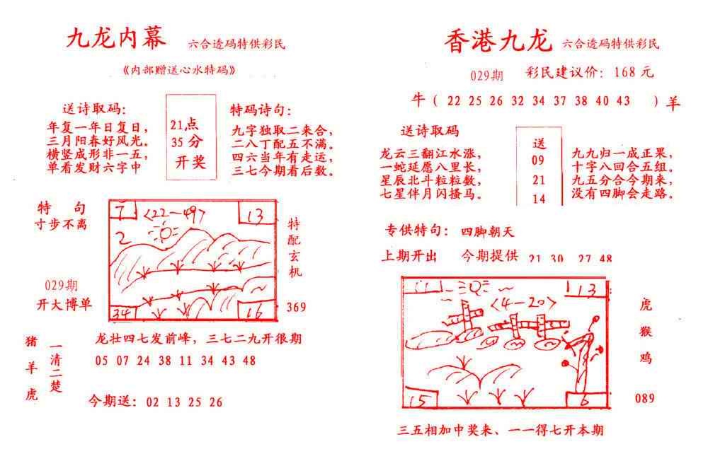 029期九龙内幕[图]