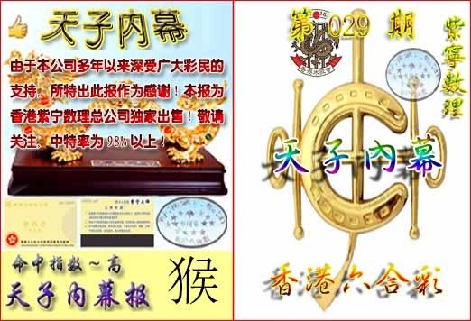 029期天子内幕报B[图]