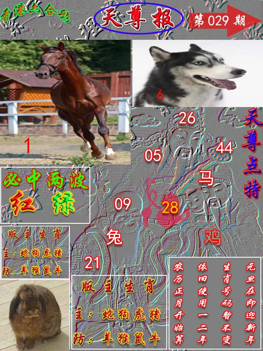 029期天尊报[图]