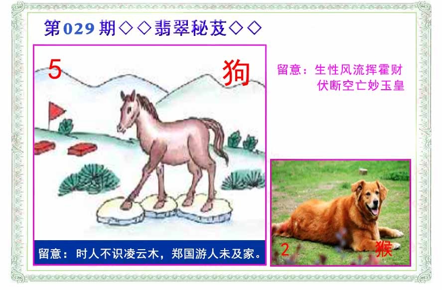 029期翡翠报[图]