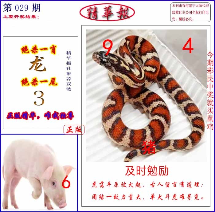 029期新精华报报[图]