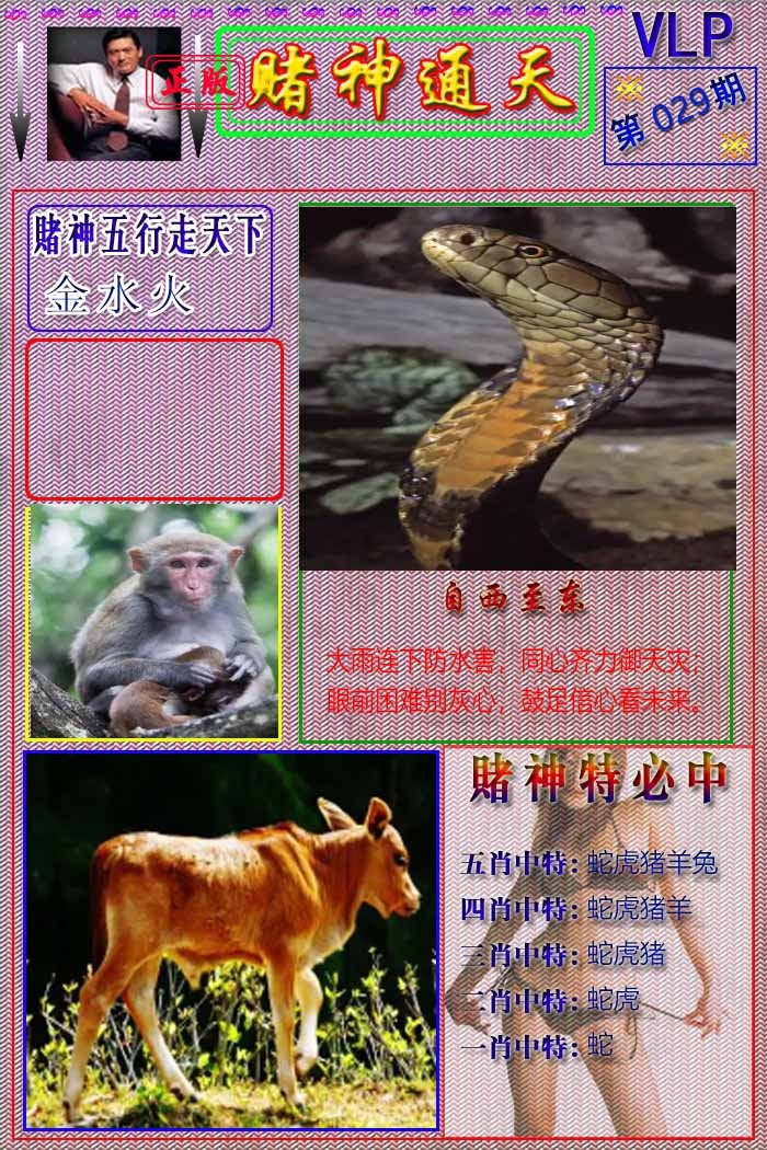 029期赌神通天报[图]