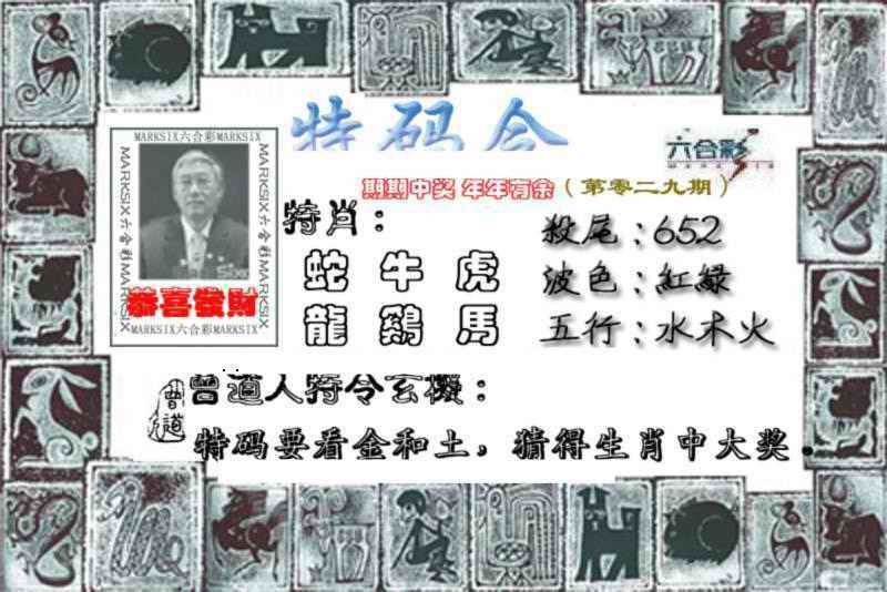 029期特准特码令[图]