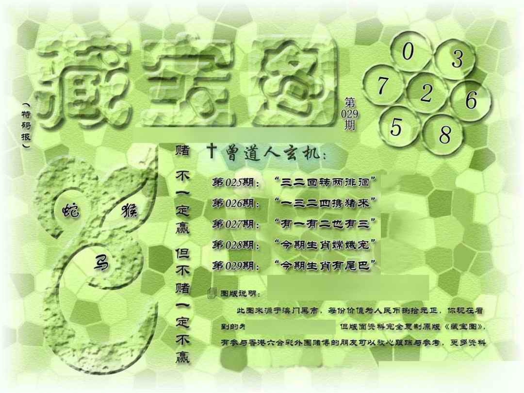 029期假新藏宝图[图]