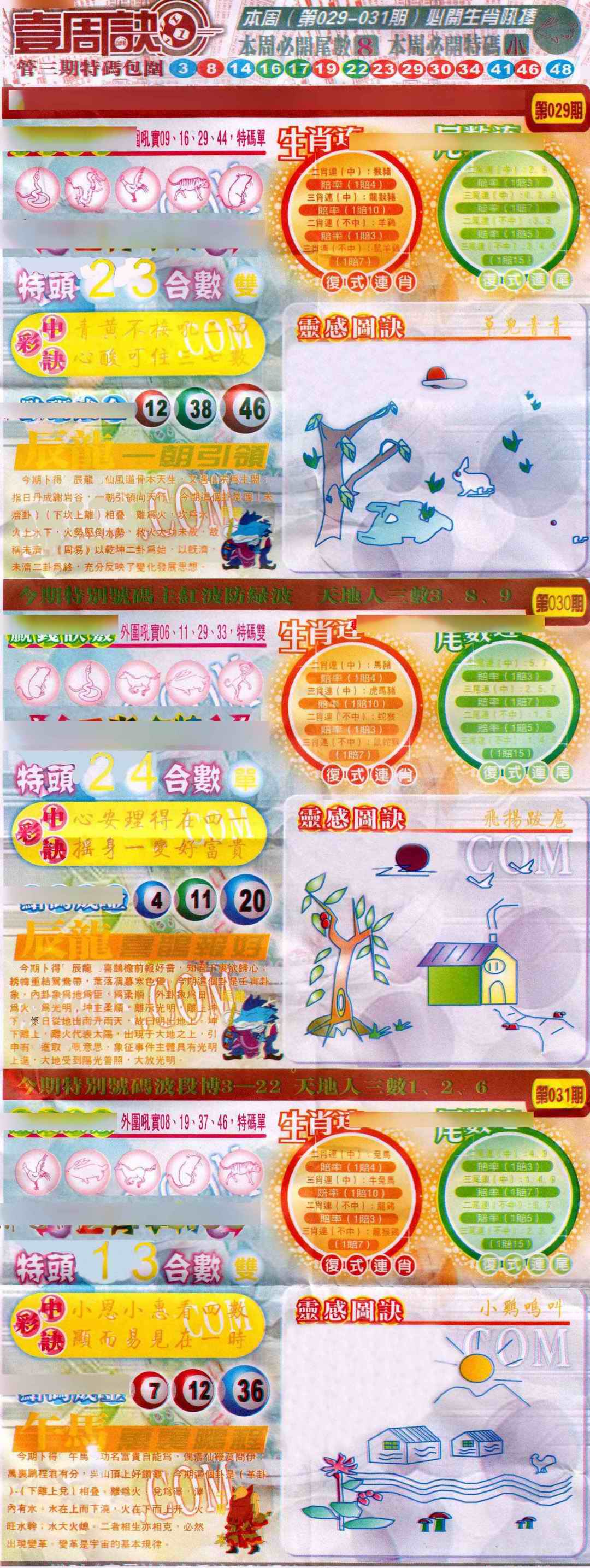 029期一周决[图]