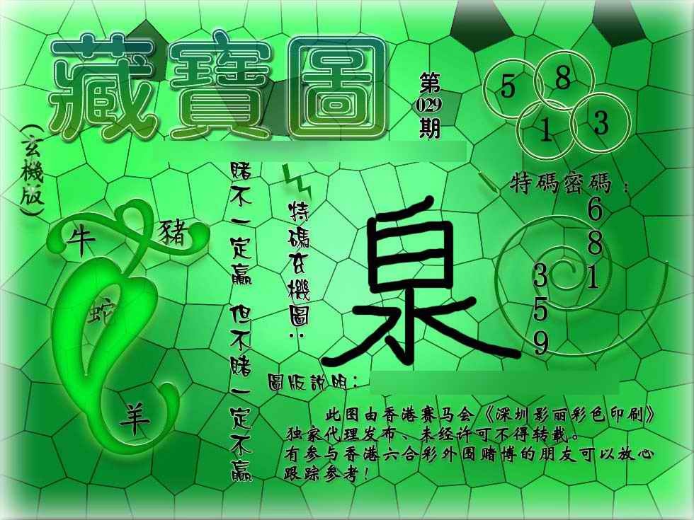 029期九龙玄机报[图]