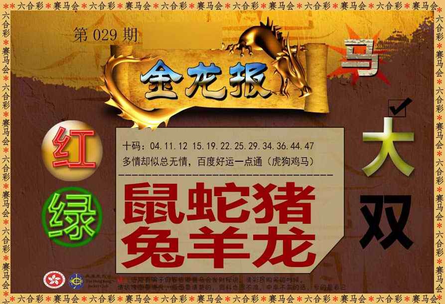 029期金龙报[图]