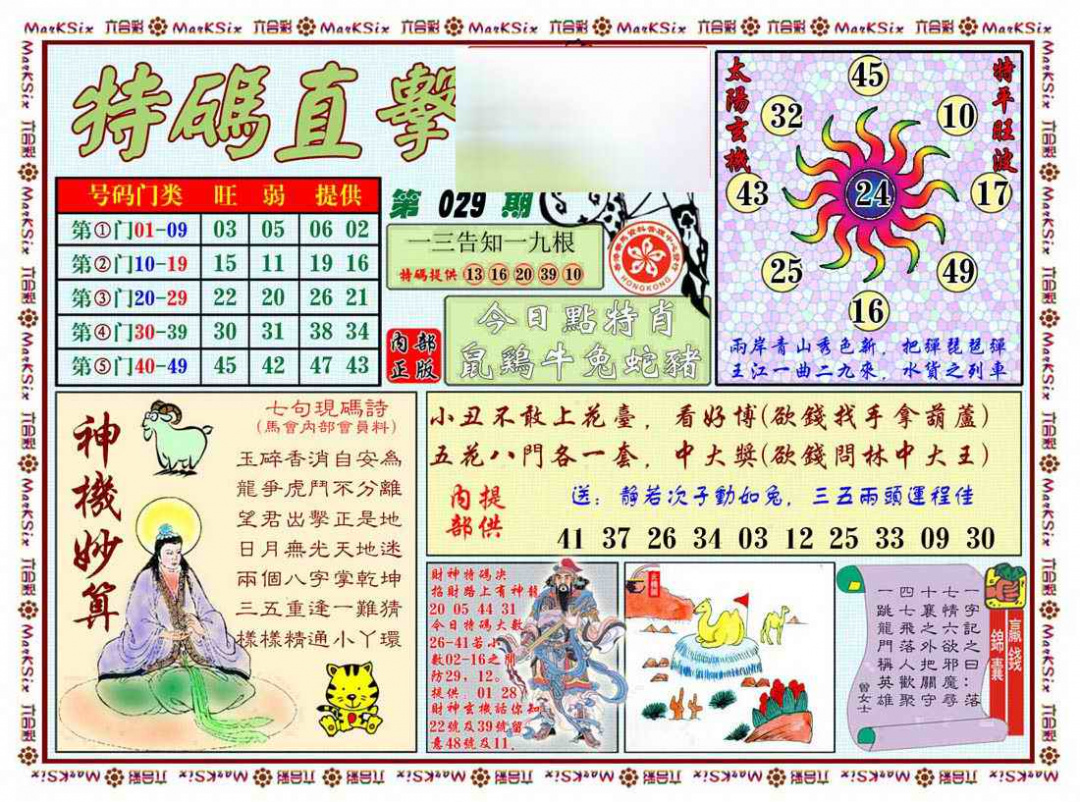 029期特马直击[图]