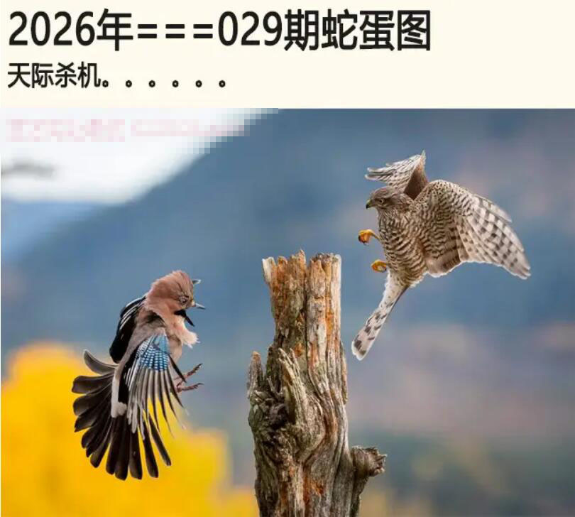 029期另版蛇蛋图[图]